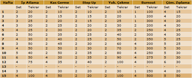 Air Alert 3 Egzersiz Programı