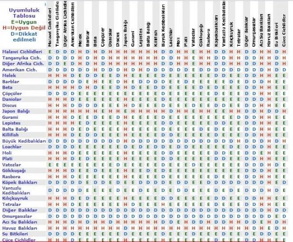 Baliklar Arası Uyum Tablosu