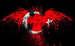 Türk Bayrağı Kartal Arkaplan, Turkish Flag Wallpaper 1440x900