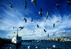 Eminönü'ne nasıl giderim?