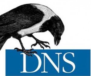 DNS nedir, Open DNS 2014 IP Adresleri