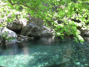 Kaz Dağları