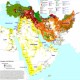 Orta Doğu'da Yaşayan Irklar ve Konuşulan Diller Haritası