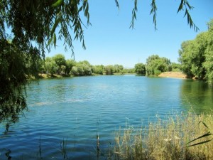 Türkiye'nin en büyük ırmağı (nehri) hangisidir