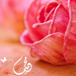 Hz Muhammed'in doğum tarihi