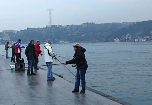 Ülkemiz sularında balık çeşitliliği ve balık sayısı neden azalıyor?