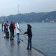 Ülkemiz sularında balık çeşitliliği ve balık sayısı neden azalıyor?