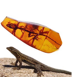Dinozorlardan bile eski kertenkele izi bulundu