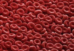 Yetişkin bir insanda kaç litre kan bulunur